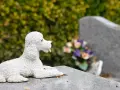 Biała figurka pudla leży na kamiennym nagrobku. W tle widać kwiaty i nagrobki, tworząc spokojny cmentarz dla psów.