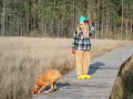 Brązowy pies patrzy w jeden punkt na drewnianej kładce, podczas gdy osoba w zielonej czapce obserwuje coś przez lornetkę.