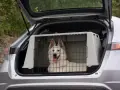 Biały pies rasy husky w klatce w bagażniku samochodu. Bezpieczny sposób, jak przewozić psa w samochodzie.