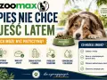 Pies nie chce jeść latem? Przyczyny: wysokie temperatury, mniejszy apetyt. Rozwiązania: zadbaj o wodę, karm o chłodniejszych porach dnia.