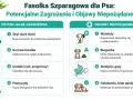 Czy pies może jeść fasolkę szparagową? Infografika ostrzega przed zagrożeniami: zbyt duża ilość, surowa fasolka, dodatki, pestycydy. Objawy: wymioty, biegunka, wzdęcia, osłabienie.