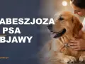 Weterynarz bada psa, by rozpoznać objawy babeszjozy.