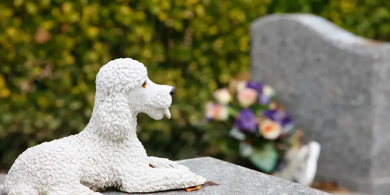Biała figurka pudla leży na kamiennym nagrobku. W tle widać kwiaty i nagrobki, tworząc spokojny cmentarz dla psów.