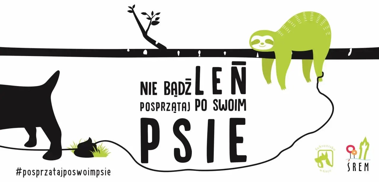 Nie bądź leniem, posprzątaj po swoim psie! Czarny piesek zostawił niespodziankę, a leniwiec na gałęzi przypomina o obowiązku. #posprzatajposwoimpsie