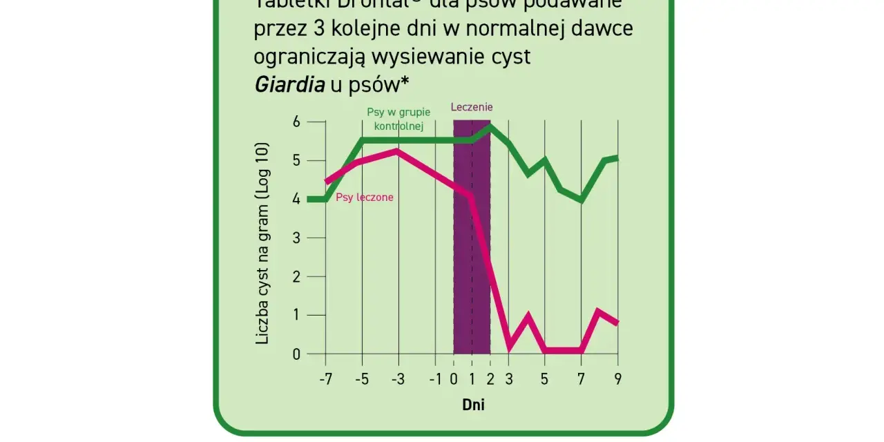 Wykres pokazuje, jak tabletki Drontal® ograniczają giardię u psów. Leczone psy mają znacznie mniej cyst.