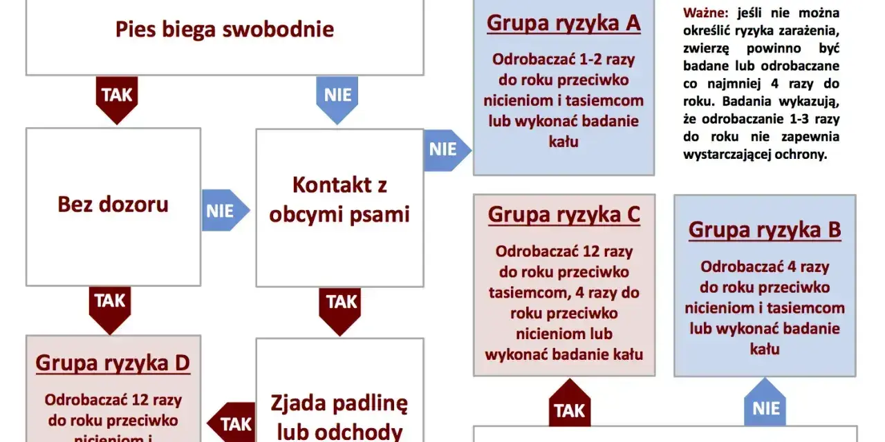 Schemat odrobaczania psów: odrobaczanie psa co ile zależy od jego stylu życia i kontaktu z innymi zwierzętami.