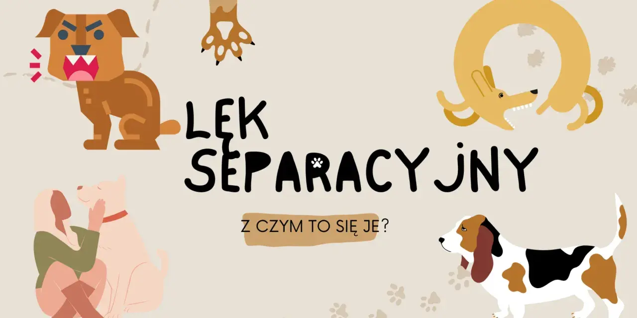 Ilustracja przedstawia różne psy i tekst "Lęk separacyjny u psa". Widzimy psa warczącego, psa przytulającego się do człowieka, psa w kształcie koła i basseta.