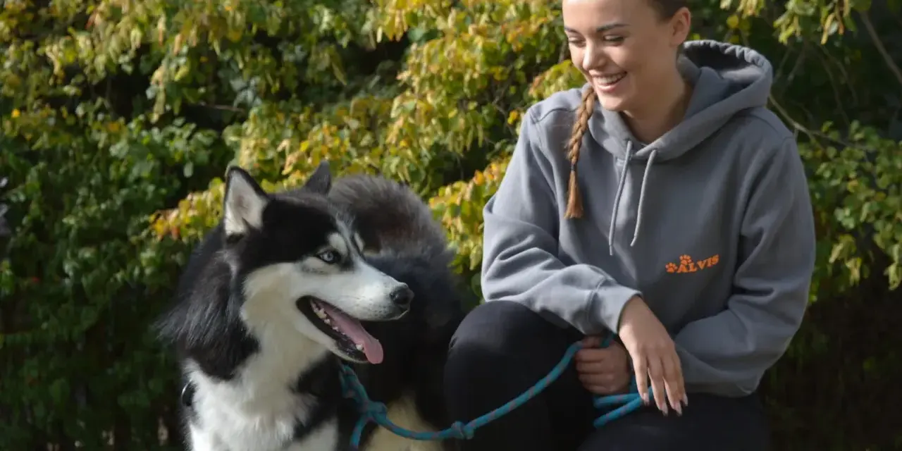 Uśmiechnięta dziewczyna z warkoczem i syberyjski husky. Zastanawiasz się, ile kilometrów może przejść pies? Ten energiczny pies z pewnością pokona wiele!