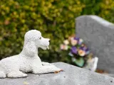 Biała figurka pudla leży na kamiennym nagrobku. W tle widać kwiaty i nagrobki, tworząc spokojny cmentarz dla psów.