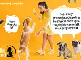 Uśmiechnięta kobieta z lodem na patyku, pies beagle skacze, a obok mały piesek i buldogi. To nie jest typowy cattle dog, ale wszystkie psy zasługują na opiekę.