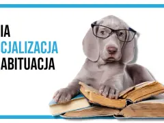 Szczeniak w okularach z książkami, symbolizujący psią socjalizację i naukę.