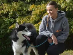 Uśmiechnięta dziewczyna z warkoczem i syberyjski husky. Zastanawiasz się, ile kilometrów może przejść pies? Ten energiczny pies z pewnością pokona wiele!