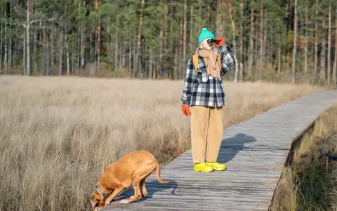 Brązowy pies patrzy w jeden punkt na drewnianej kładce, podczas gdy osoba w zielonej czapce obserwuje coś przez lornetkę.