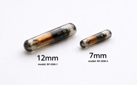 Dwa implanty dla zwierząt: 12mm i 7mm. Pokazują, jak działa chip u psa, zapewniając identyfikację.