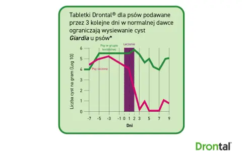Wykres pokazuje, jak tabletki Drontal® ograniczają giardię u psów. Leczone psy mają znacznie mniej cyst.