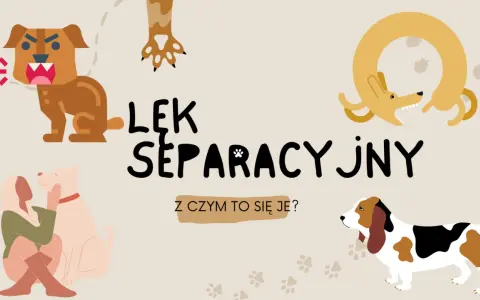 Ilustracja przedstawia różne psy i tekst "Lęk separacyjny u psa". Widzimy psa warczącego, psa przytulającego się do człowieka, psa w kształcie koła i basseta.