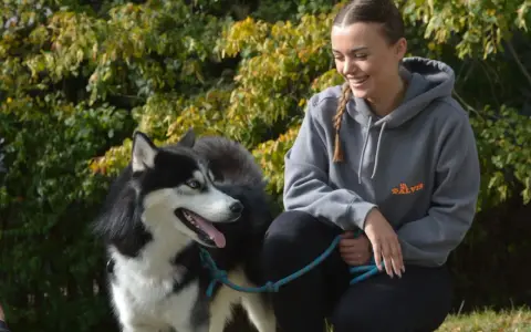 Uśmiechnięta dziewczyna z warkoczem i syberyjski husky. Zastanawiasz się, ile kilometrów może przejść pies? Ten energiczny pies z pewnością pokona wiele!