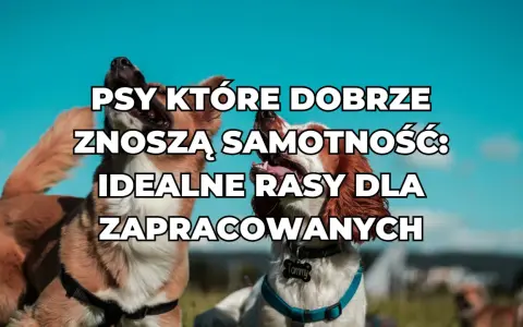 Dwa psy na tle błękitnego nieba. Napis: "PSY KTÓRE DOBRZE ZNOSZĄ SAMOTNOŚĆ: IDEALNE RASY DLA ZAPRACCOWANYCH".