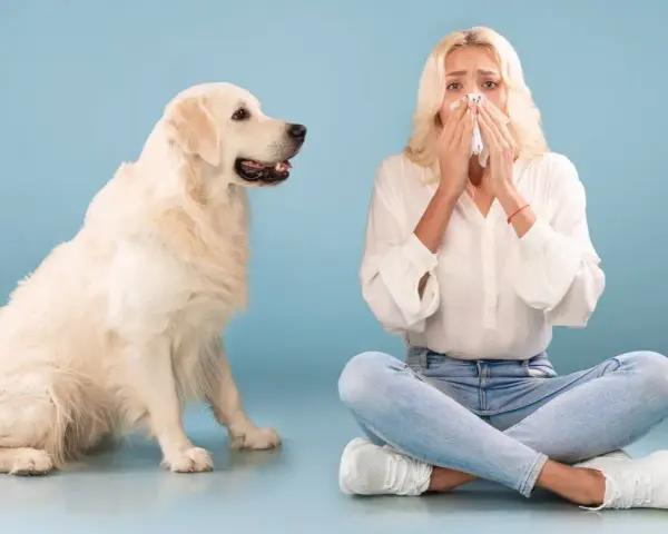 Kobieta z chusteczką przy nosie siedzi obok psa. Może to być symbol odczulania na psa, gdy alergia utrudnia bliskość.