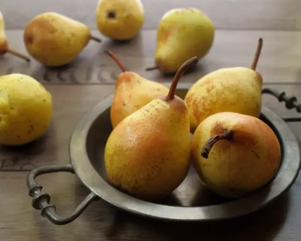 Gruszki na talerzu. Czy pies może jeść gruszkę? Tak, ale bez pestek i ogonka.