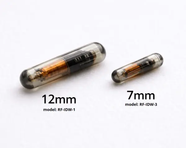 Dwa implanty dla zwierząt: 12mm i 7mm. Pokazują, jak działa chip u psa, zapewniając identyfikację.
