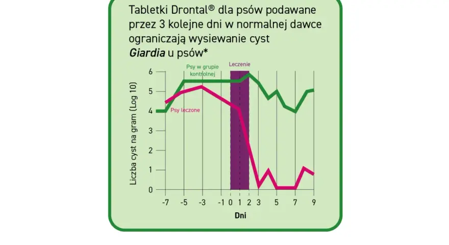 Wykres pokazuje, jak tabletki Drontal® ograniczają giardię u psów. Leczone psy mają znacznie mniej cyst.