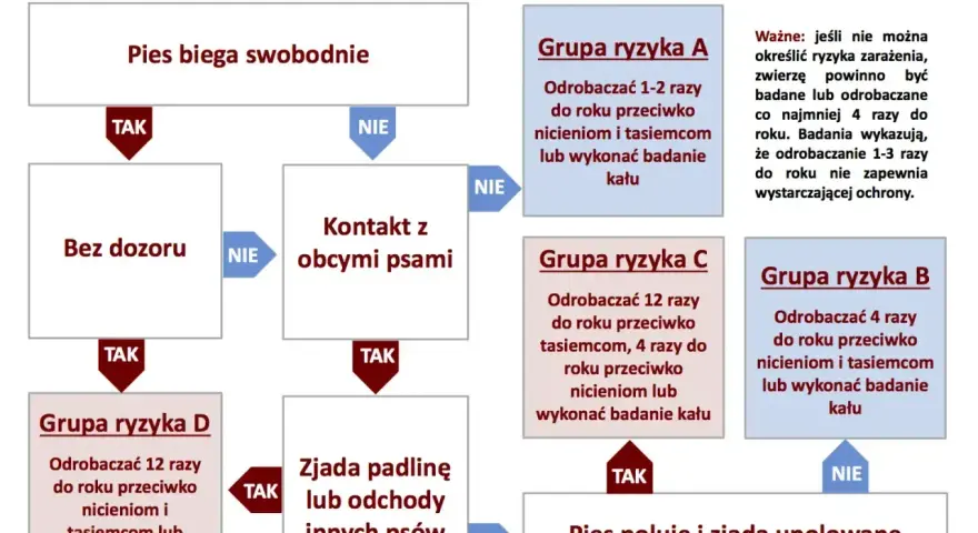 Schemat odrobaczania psów: odrobaczanie psa co ile zależy od jego stylu życia i kontaktu z innymi zwierzętami.
