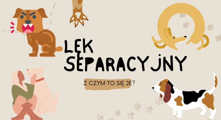 Ilustracja przedstawia różne psy i tekst "Lęk separacyjny u psa". Widzimy psa warczącego, psa przytulającego się do człowieka, psa w kształcie koła i basseta.