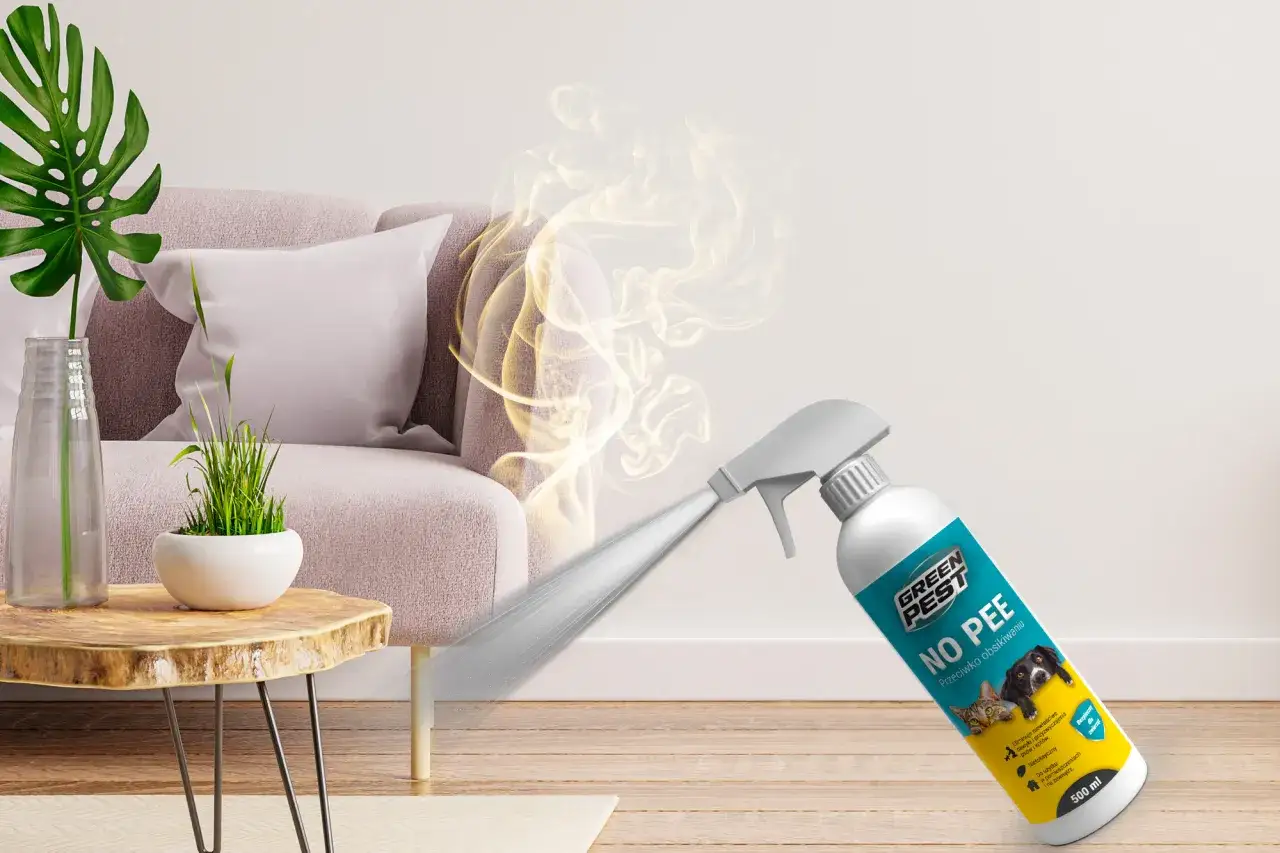 Spray