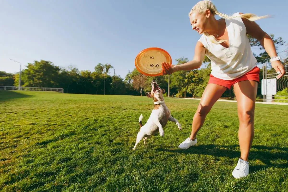 Kobieta rzuca psu frisbee na trawie. Pies skacze, by złapać zabawkę. To świetny spos&oacute;b, jak nauczyć psa aportowania.