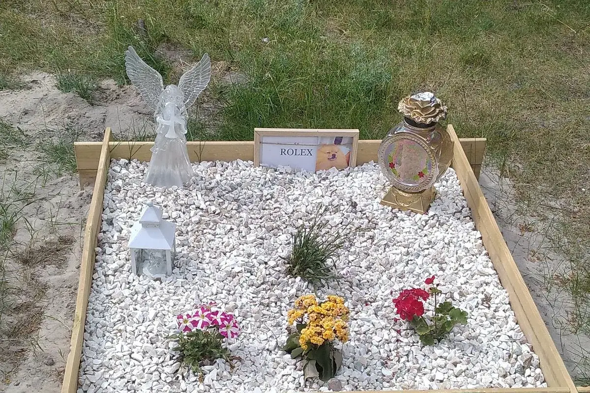 Miejsce pamięci po psie Rolex, kt&oacute;ry zdechł. Aniołek, lampion, kwiaty i urna upamiętniają ukochanego pupila.